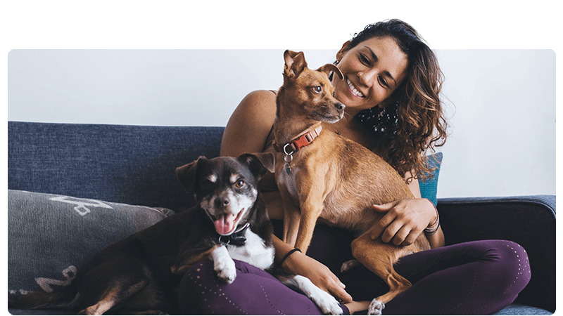 Pet care - woman on a sofa with a tan dog and a black and white dog on her lap.